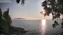 ./images/koeye/fitz-hugh/20250906/fitz-hugh20250906_185009M.jpg