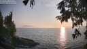 ./images/koeye/fitz-hugh/20250906/fitz-hugh20250906_190509M.jpg