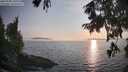 ./images/koeye/fitz-hugh/20250906/fitz-hugh20250906_191009M.jpg