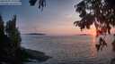 ./images/koeye/fitz-hugh/20250906/fitz-hugh20250906_195509M.jpg