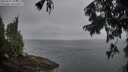 ./images/koeye/fitz-hugh/20250907/fitz-hugh20250907_065011M.jpg