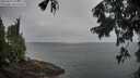./images/koeye/fitz-hugh/20250907/fitz-hugh20250907_072009M.jpg