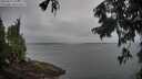 ./images/koeye/fitz-hugh/20250907/fitz-hugh20250907_073011M.jpg