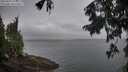 ./images/koeye/fitz-hugh/20250907/fitz-hugh20250907_074011M.jpg