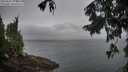 ./images/koeye/fitz-hugh/20250907/fitz-hugh20250907_074509M.jpg