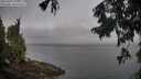 ./images/koeye/fitz-hugh/20250907/fitz-hugh20250907_075509M.jpg
