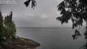 ./images/koeye/fitz-hugh/20250907/fitz-hugh20250907_080012M.jpg