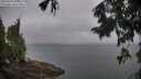 ./images/koeye/fitz-hugh/20250907/fitz-hugh20250907_080507M.jpg