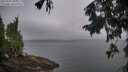 ./images/koeye/fitz-hugh/20250907/fitz-hugh20250907_081511M.jpg