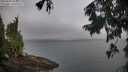 ./images/koeye/fitz-hugh/20250907/fitz-hugh20250907_083012M.jpg