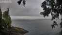 ./images/koeye/fitz-hugh/20250907/fitz-hugh20250907_085510M.jpg