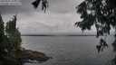 ./images/koeye/fitz-hugh/20250907/fitz-hugh20250907_095011M.jpg