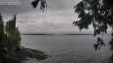./images/koeye/fitz-hugh/20250907/fitz-hugh20250907_095509M.jpg