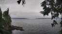 ./images/koeye/fitz-hugh/20250907/fitz-hugh20250907_111510M.jpg