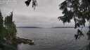 ./images/koeye/fitz-hugh/20250907/fitz-hugh20250907_112010M.jpg