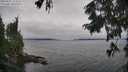./images/koeye/fitz-hugh/20250907/fitz-hugh20250907_112510M.jpg