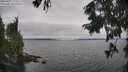 ./images/koeye/fitz-hugh/20250907/fitz-hugh20250907_115011M.jpg