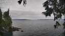 ./images/koeye/fitz-hugh/20250907/fitz-hugh20250907_115509M.jpg