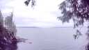 ./images/koeye/fitz-hugh/20250907/fitz-hugh20250907_121511M.jpg