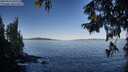 ./images/koeye/fitz-hugh/20250916/fitz-hugh20250916_092510M.jpg