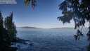 ./images/koeye/fitz-hugh/20250916/fitz-hugh20250916_093012M.jpg