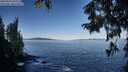 ./images/koeye/fitz-hugh/20250916/fitz-hugh20250916_093509M.jpg