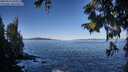 ./images/koeye/fitz-hugh/20250916/fitz-hugh20250916_095008M.jpg