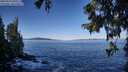 ./images/koeye/fitz-hugh/20250916/fitz-hugh20250916_095511M.jpg