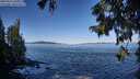 ./images/koeye/fitz-hugh/20250916/fitz-hugh20250916_100012M.jpg