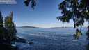./images/koeye/fitz-hugh/20250916/fitz-hugh20250916_100510M.jpg