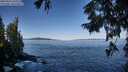 ./images/koeye/fitz-hugh/20250916/fitz-hugh20250916_102510M.jpg