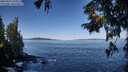 ./images/koeye/fitz-hugh/20250916/fitz-hugh20250916_103012M.jpg