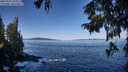 ./images/koeye/fitz-hugh/20250916/fitz-hugh20250916_103511M.jpg