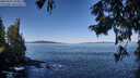 ./images/koeye/fitz-hugh/20250916/fitz-hugh20250916_104012M.jpg