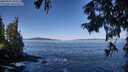./images/koeye/fitz-hugh/20250916/fitz-hugh20250916_104512M.jpg