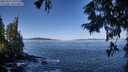 ./images/koeye/fitz-hugh/20250916/fitz-hugh20250916_105508M.jpg