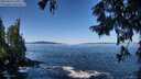 ./images/koeye/fitz-hugh/20250916/fitz-hugh20250916_110511M.jpg