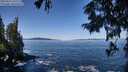 ./images/koeye/fitz-hugh/20250916/fitz-hugh20250916_111512M.jpg
