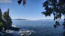 ./images/koeye/fitz-hugh/20250916/fitz-hugh20250916_112510M.jpg