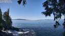 ./images/koeye/fitz-hugh/20250916/fitz-hugh20250916_114010M.jpg