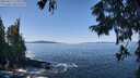 ./images/koeye/fitz-hugh/20250916/fitz-hugh20250916_115010M.jpg