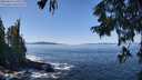 ./images/koeye/fitz-hugh/20250916/fitz-hugh20250916_120510M.jpg