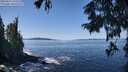 ./images/koeye/fitz-hugh/20250916/fitz-hugh20250916_122510M.jpg