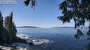./images/koeye/fitz-hugh/20250916/fitz-hugh20250916_123510M.jpg