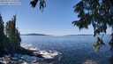 ./images/koeye/fitz-hugh/20250916/fitz-hugh20250916_124010M.jpg