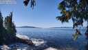./images/koeye/fitz-hugh/20250916/fitz-hugh20250916_124508M.jpg