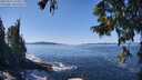./images/koeye/fitz-hugh/20250916/fitz-hugh20250916_125011M.jpg