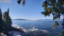 ./images/koeye/fitz-hugh/20250916/fitz-hugh20250916_125510M.jpg