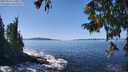 ./images/koeye/fitz-hugh/20250916/fitz-hugh20250916_130012M.jpg