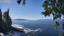 ./images/koeye/fitz-hugh/20250916/fitz-hugh20250916_131510M.jpg